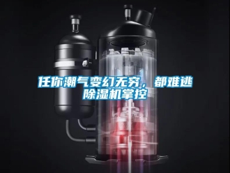 行業新聞任你潮氣變幻無窮，都難逃除濕機掌控