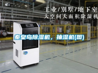 行業(yè)新聞秦皇島除濕機(jī)，抽濕機(jī)(圖)