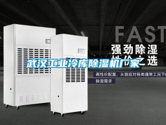 企業新聞武漢工業冷庫除濕機廠家