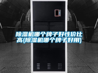 行業新聞除濕機哪個牌子好性價比高(除濕機哪個牌子好用)