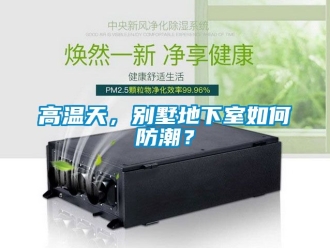 企業(yè)新聞高溫天，別墅地下室如何防潮？