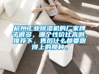 企業新聞杭州工業除濕機的廠家牌子很多，哪個性價比高啊，推薦下，售后什么都要跟得上的那種。