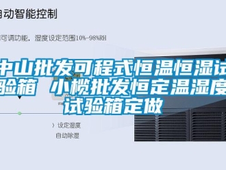 知識(shí)百科中山批發(fā)可程式恒溫恒濕試驗(yàn)箱 小欖批發(fā)恒定溫濕度試驗(yàn)箱定做