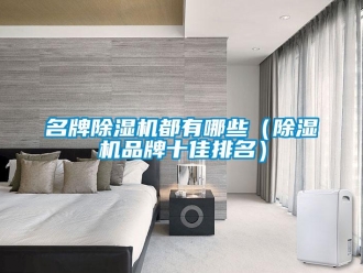企業(yè)新聞名牌除濕機(jī)都有哪些（除濕機(jī)品牌十佳排名）
