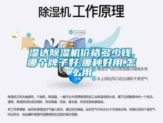 企業新聞濕達除濕機價格多少錢,哪個牌子好,哪種好用,怎么用