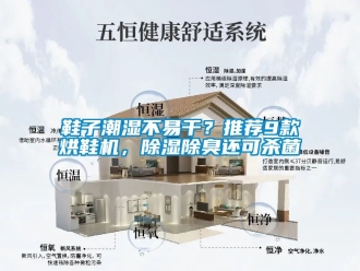 行業(yè)新聞鞋子潮濕不易干？推薦9款烘鞋機，除濕除臭還可殺菌