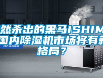 行業(yè)新聞突然殺出的黑馬ISHIMA,國(guó)內(nèi)除濕機(jī)市場(chǎng)將有新格局？