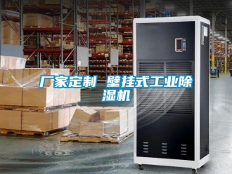 企業(yè)新聞廠家定制 壁掛式工業(yè)除濕機(jī)