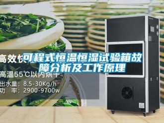 知識(shí)百科可程式恒溫恒濕試驗(yàn)箱故障分析及工作原理