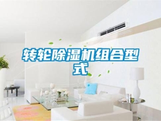 知識百科轉(zhuǎn)輪除濕機組合型式