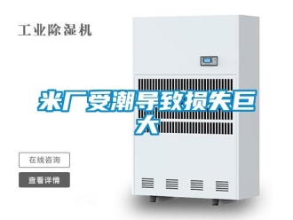 行業新聞米廠受潮導致損失巨大