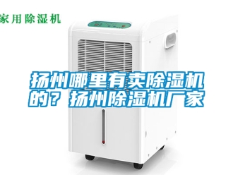 企業新聞揚州哪里有賣除濕機的？揚州除濕機廠家