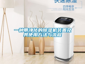 行業(yè)新聞一種帶凈化的除濕機(jī)裝置及其使用方法與流程