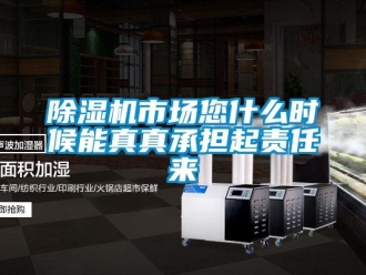 企業(yè)新聞除濕機(jī)市場您什么時候能真真承擔(dān)起責(zé)任來