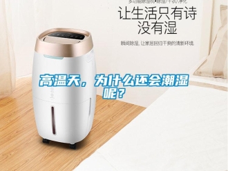 企業新聞高溫天，為什么還會潮濕呢？