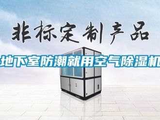 行業新聞地下室防潮就用空氣除濕機