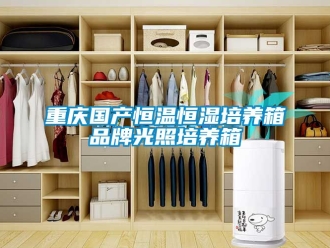 知識百科重慶國產(chǎn)恒溫恒濕培養(yǎng)箱品牌光照培養(yǎng)箱