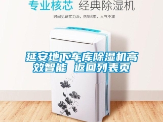 行業新聞延安地下車庫除濕機高效智能 返回列表頁