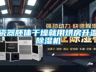 企業新聞瓷器胚體干燥就用烘房升溫除濕機