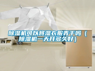 行業新聞除濕機可以將濕衣服弄干嗎（除濕機一天開多久好）