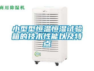 知識百科小型型恒溫恒濕試驗(yàn)箱的技術(shù)性能以及特點(diǎn)