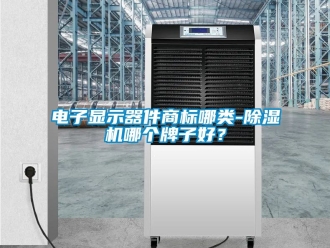 行業(yè)新聞電子顯示器件商標哪類-除濕機哪個牌子好？