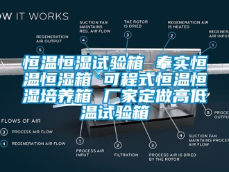 知識百科恒溫恒濕試驗箱 奉實恒溫恒濕箱 可程式恒溫恒濕培養箱 廠家定做高低溫試驗箱