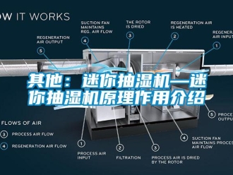 企業(yè)新聞其他：迷你抽濕機—迷你抽濕機原理作用介紹