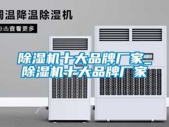 企業新聞除濕機十大品牌廠家_除濕機十大品牌廠家