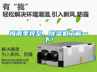 行業新聞梅雨季將至，除濕機了解一下！