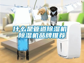 企業(yè)新聞什么是管道除濕機(jī) 除濕機(jī)品牌推薦