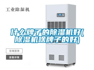 行業新聞什么牌子的除濕機好(除濕機啥牌子的好)