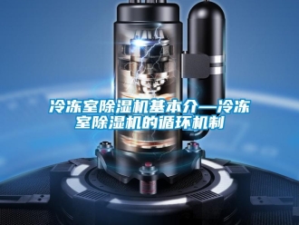 行業(yè)新聞冷凍室除濕機(jī)基本介—冷凍室除濕機(jī)的循環(huán)機(jī)制