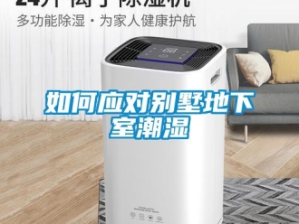 企業(yè)新聞如何應(yīng)對(duì)別墅地下室潮濕