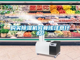 企業新聞購買除濕機究竟該注意什么？