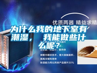 企業新聞為什么我的地下室有潮濕， 我能做些什么呢？