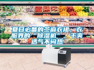 行業新聞夏日必備的苧麻衣裙，衣服界的“除濕機”，干爽透氣不悶熱