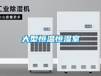 知識(shí)百科大型恒溫恒濕室
