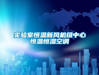 知識百科實驗室恒溫新風(fēng)機(jī)組中心恒溫恒濕空調(diào)