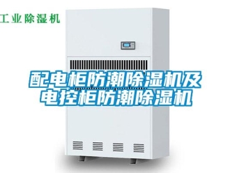 行業(yè)新聞配電柜防潮除濕機(jī)及電控柜防潮除濕機(jī)