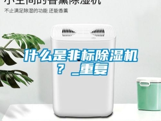 行業新聞什么是非標除濕機？_重復