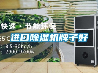 行業新聞進口除濕機牌子好
