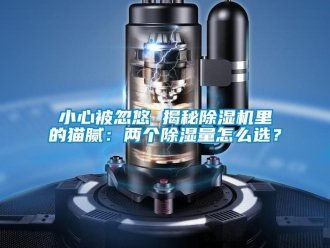 行業(yè)新聞小心被忽悠 揭秘除濕機里的貓膩：兩個除濕量怎么選？