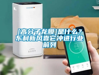 企業新聞[高分子龍膜]是什么？東利新風靠它沖進行業前列