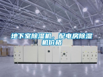 企業(yè)新聞地下室除濕機(jī)，配電房除濕機(jī)價(jià)格