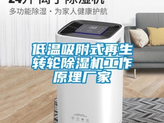 企業(yè)新聞低溫吸附式再生轉(zhuǎn)輪除濕機(jī)工作原理廠家