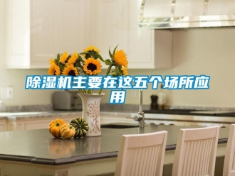企業(yè)新聞除濕機(jī)主要在這五個場所應(yīng)用