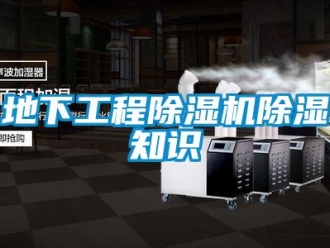 企業(yè)新聞地下工程除濕機(jī)除濕知識