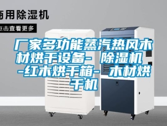 企業(yè)新聞廠家多功能蒸汽熱風(fēng)木材烘干設(shè)備- 除濕機(jī) -紅木烘干箱- 木材烘干機(jī)