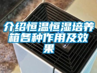 知識百科介紹恒溫恒濕培養箱各種作用及效果
